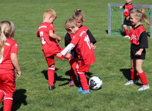 Kinderschutz im Verein