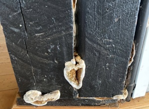 Schwamm drüber! Nicht mit uns.