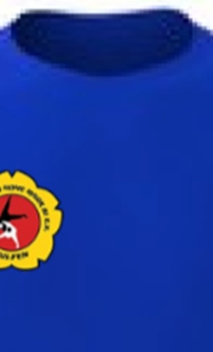 Shirts 2.0 - Judo Verein Hohe Mark 81 e. V. Wulfen