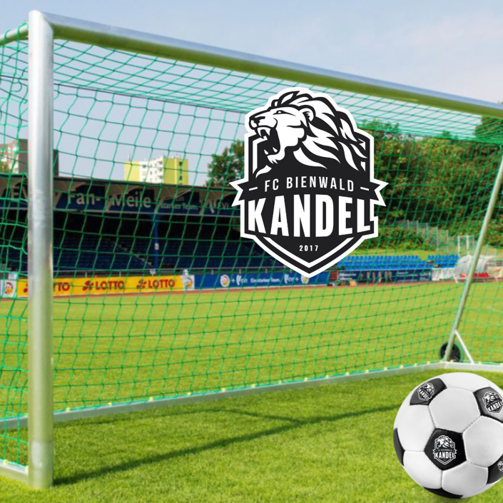 Tore für alle – Neue mobile Tore für den FC Bienwald Kandel