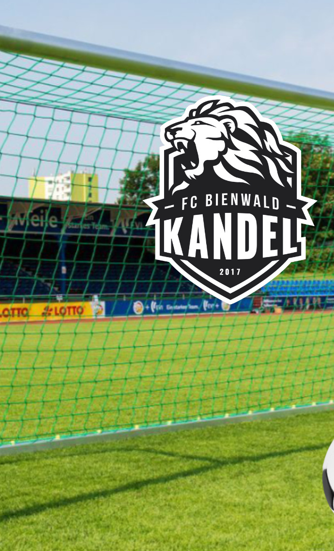 Tore für alle – Neue mobile Tore für den FC Bienwald Kandel