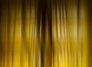 Fotodokumentation Psychiatrie Haar II Mit anderen Augen
