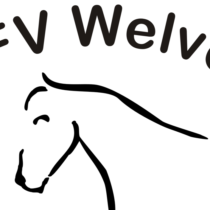 Mehr Ponypower für unseren Schulbetrieb