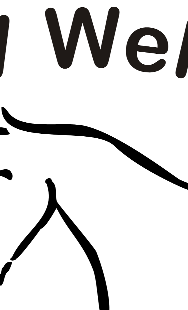 Mehr Ponypower für unseren Schulbetrieb