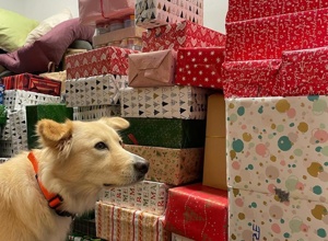 Tierliebe unterm Tannenbaum