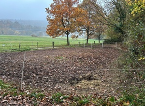 Sanierung der Winterpaddocks für Schul-, Freizeit- und Turnierpferde