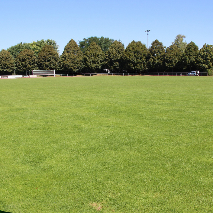 Mähroboter für das Bachgaustadion