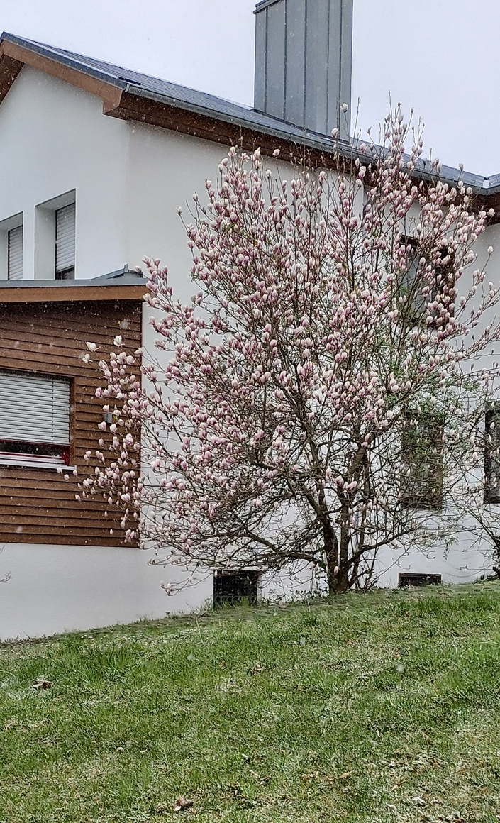 Eine neue Pelletheizung für den Josef-Kentenich-Hof