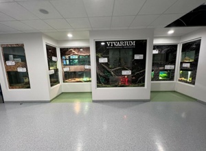 FÖJ-Stelle an der Modellschule Obersberg