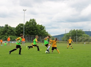 Rasenheld für den 1. FC Dilsberg