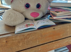 Wir lesen los! Die neue Schulbücherei an der VGS