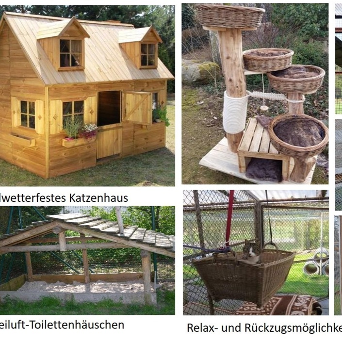 Jubiläumsprojekt: Katzendorf im Tierheim Lohr-Sackenbach