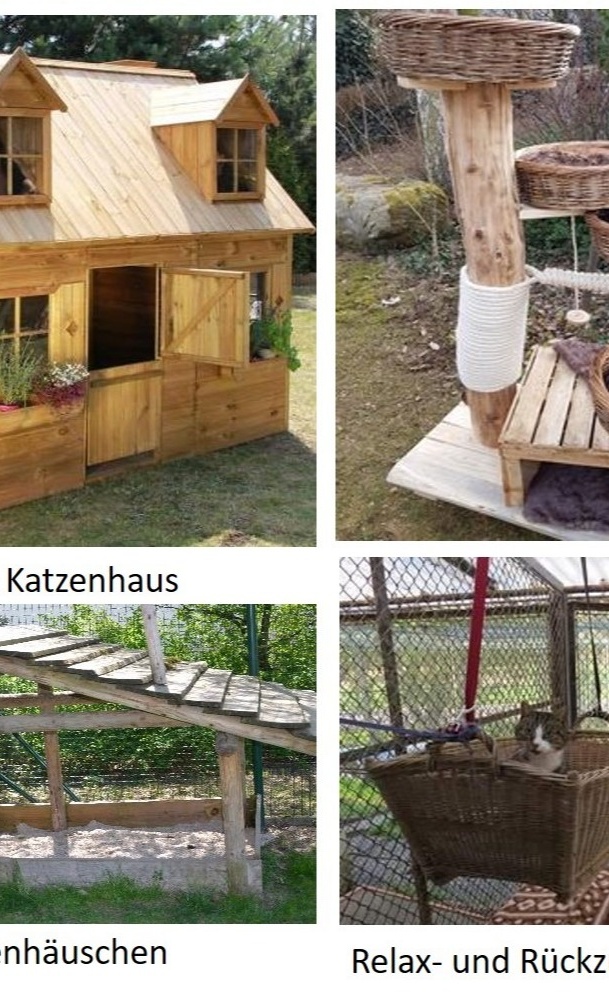 Jubiläumsprojekt: Katzendorf im Tierheim Lohr-Sackenbach