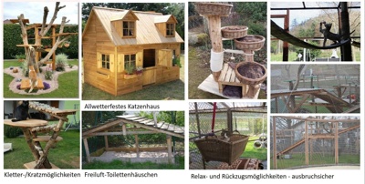 Jubiläumsprojekt: Katzendorf im Tierheim Lohr-Sackenbach