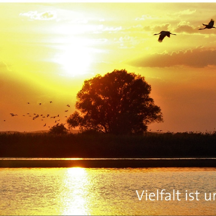 NaturBus in Wanninchen