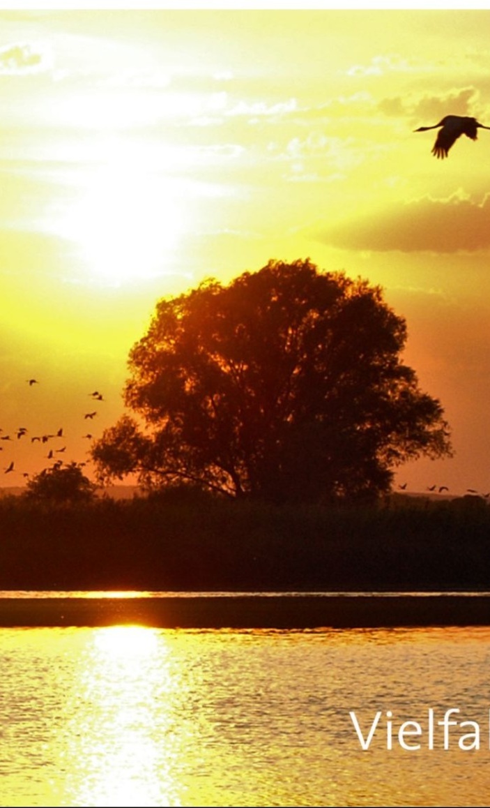 NaturBus in Wanninchen