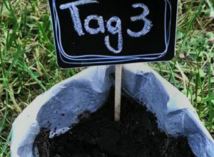 Kleine Beete und große Tonnen
