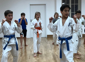 Ausstattung Dojo / Mehrzweckraum