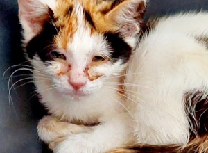 Wenn das Schicksal keine Zeit zum Sparen lässt