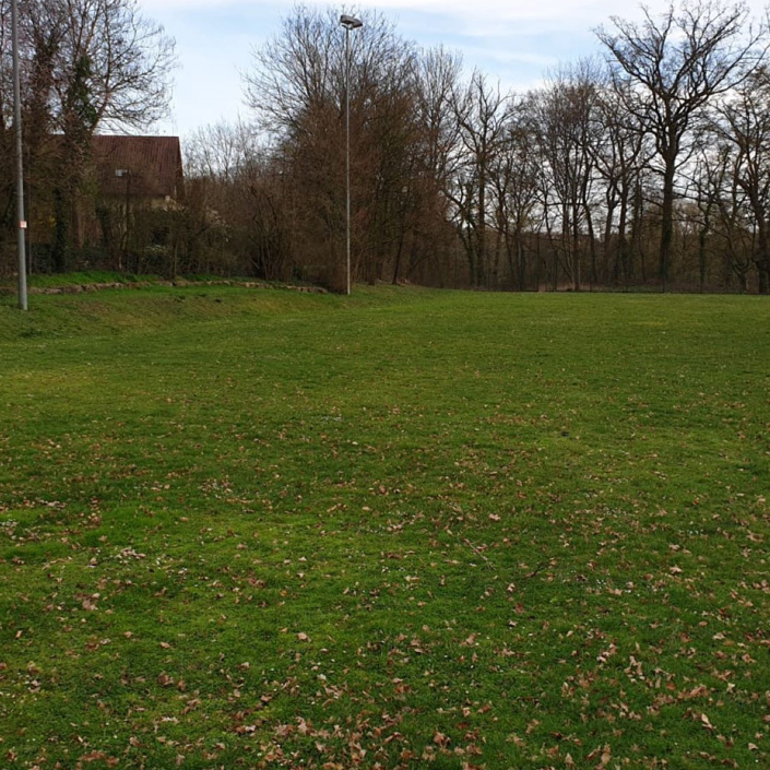 Sportplatz Sanierung
