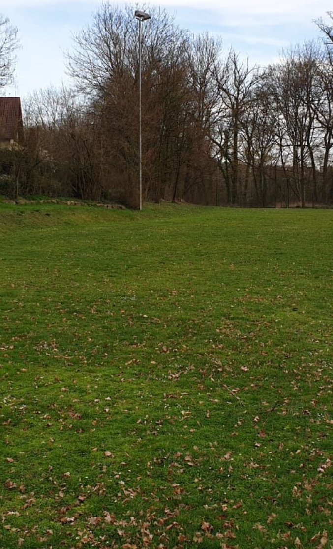 Sportplatz Sanierung
