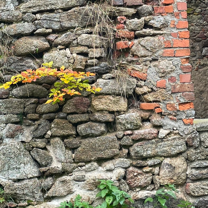 Sanierung der Burgruine auf dem Hofberg in Haibach