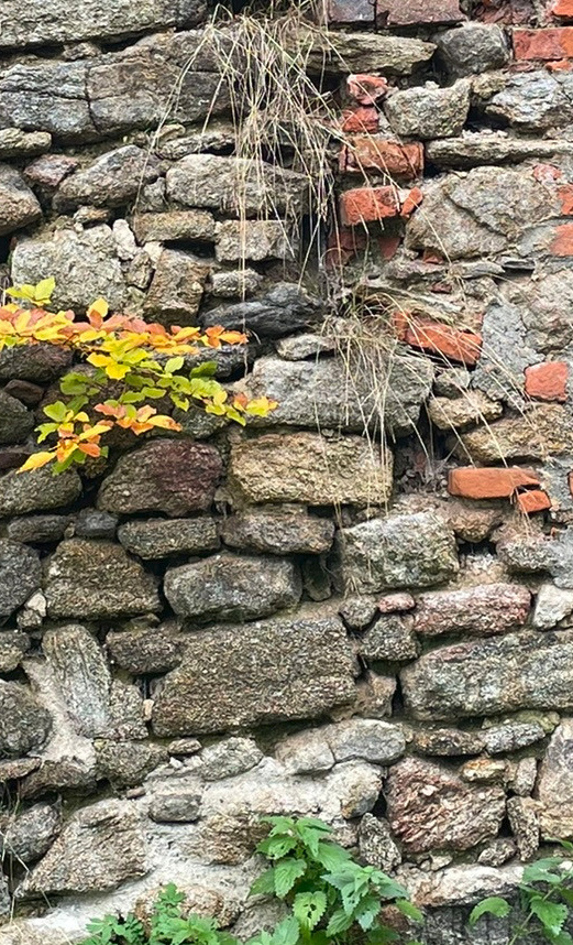 Sanierung der Burgruine auf dem Hofberg in Haibach