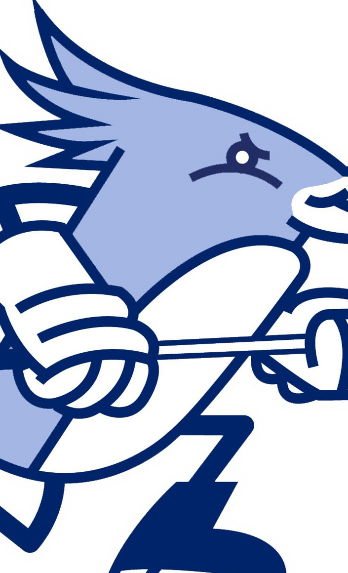 Minibanden für den Eishockeyspielbetrieb