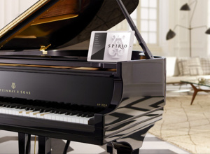 Digitaler Steinwayflügel