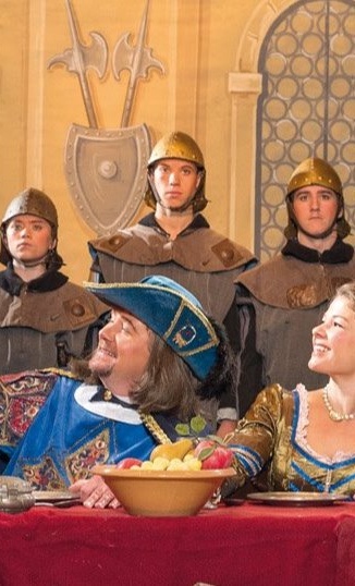 Renovierung Theatervorhänge
