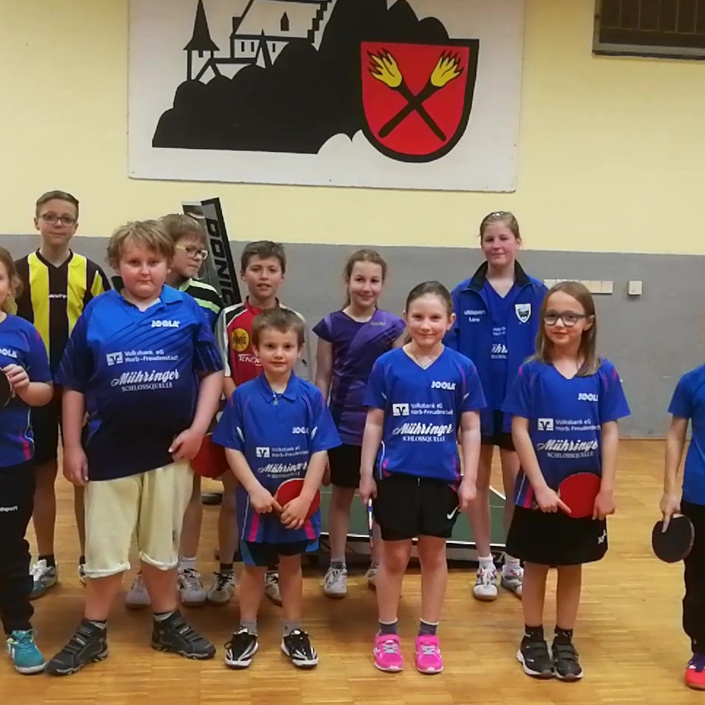 Anschaffung neuer Tischtennisplatten-TTC Mühringen