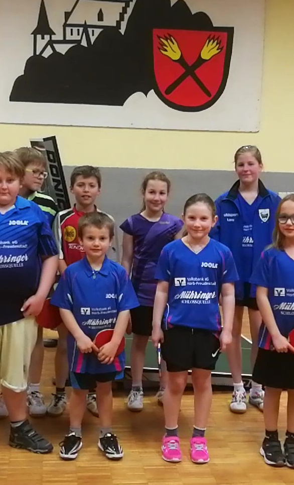 Anschaffung neuer Tischtennisplatten-TTC Mühringen