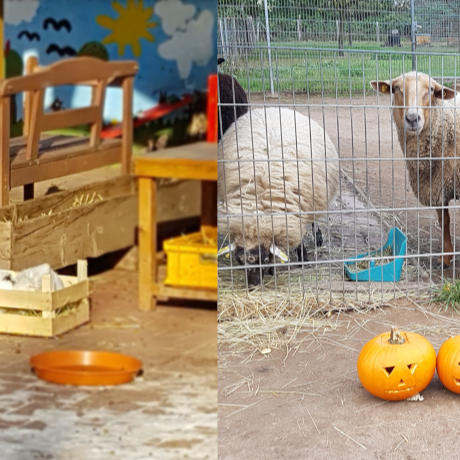 Unsere Farm soll schöner werden