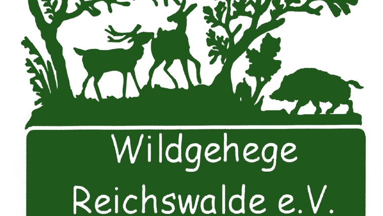 Große Ansicht vom Video