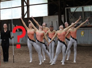 Rententraum & Pferdewunsch: unterstütze unseren Neuanfang!