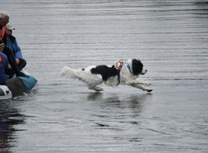 Ein Schlauchboot für den Hundesport