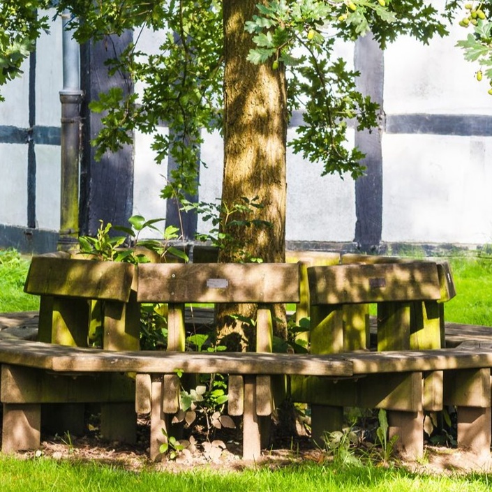 Freundschaftsbank für die Friedenslinde