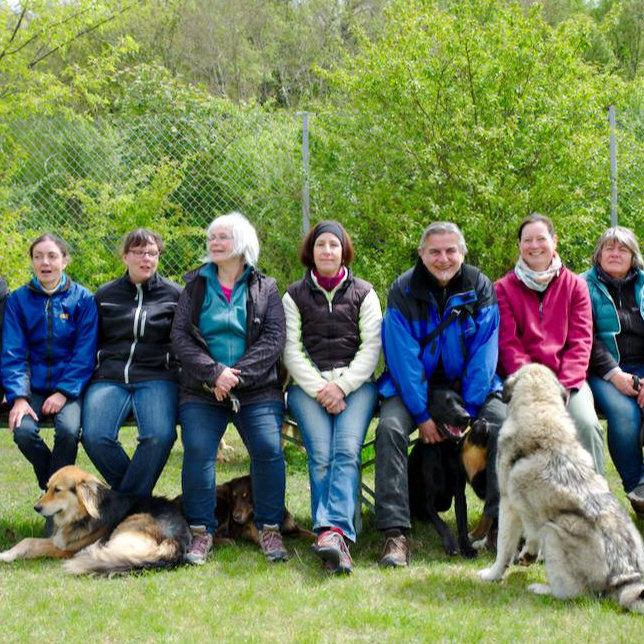 Strom für den Hundeplatz