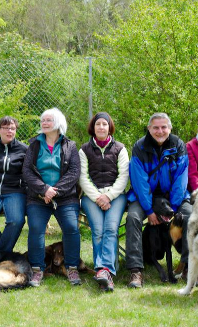 Strom für den Hundeplatz