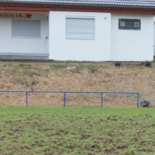 Erneuerung der Sportplätze nach Wildschaden