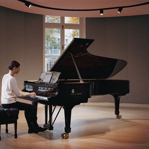 Digitaler Steinwayflügel