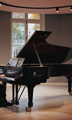Digitaler Steinwayflügel