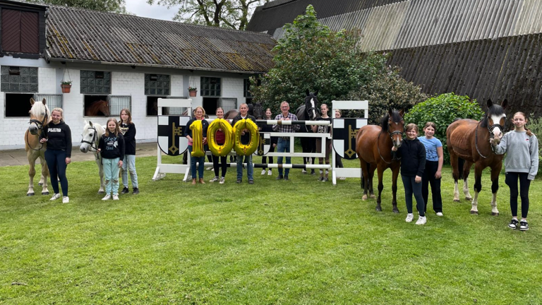 Für ein neues Schulpferd – Helfen Sie dem Reitverein Dorsten