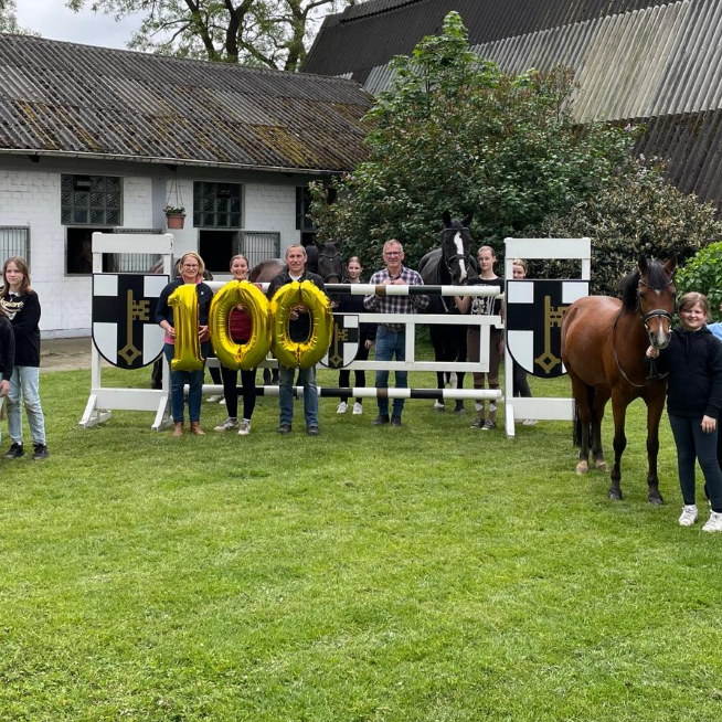 Für ein neues Schulpferd – Helfen Sie dem Reitverein Dorsten
