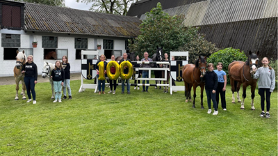 Für ein neues Schulpferd – Helfen Sie dem Reitverein Dorsten