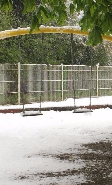 Ein ♥ für unseren Garten