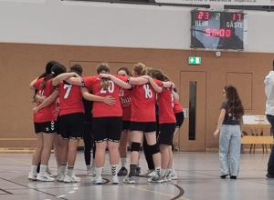 Trikotsätze Handball TSVMM