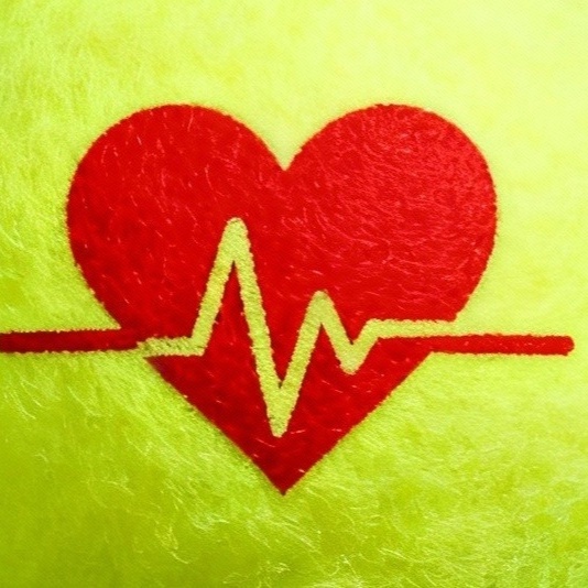 Spiel. Satz. Leben: ein Defibrillator für den TV Geislar