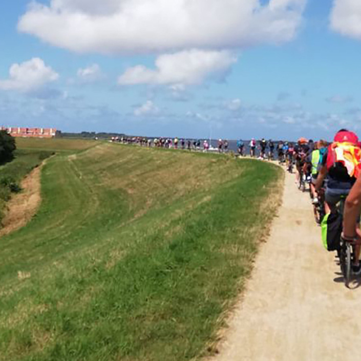 Fahrräder mieten für die Kinderferienfahrt nach Ameland