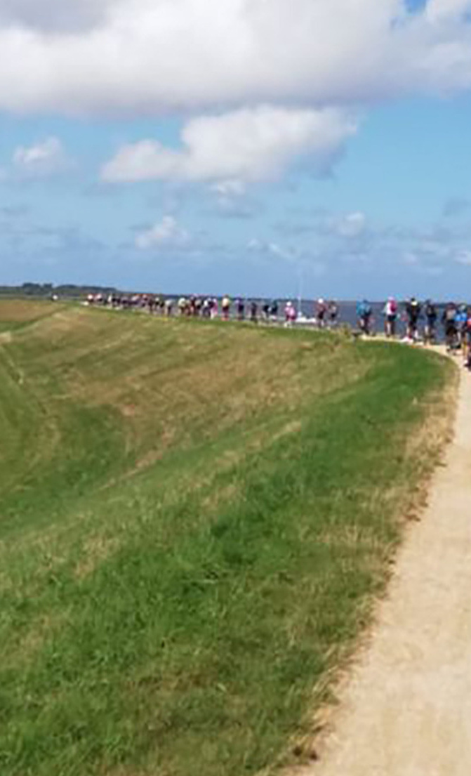 Fahrräder mieten für die Kinderferienfahrt nach Ameland